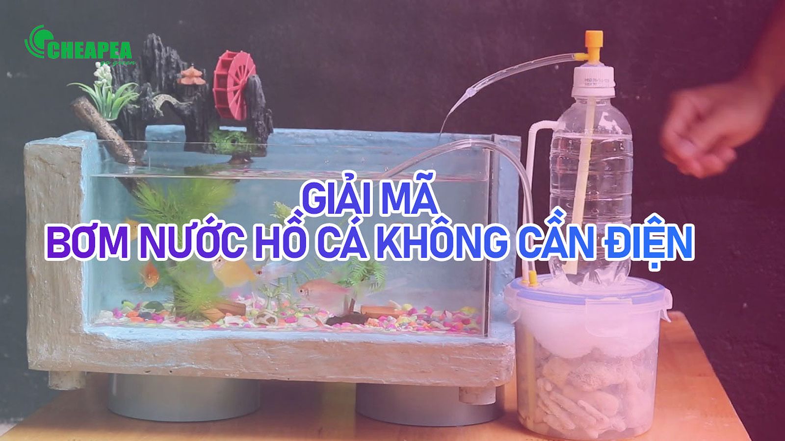 Hệ thống bơm nước hồ cá không cần điện